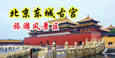 黄色网站女人操逼大鸡巴影片中国北京-东城古宫旅游风景区