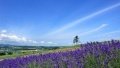美女诱惑操逼视频日本一地6日游  境外旅游 6880元/人